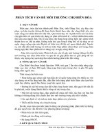 PHÂN TÍCH VẤN ĐỀ MÔI TRƯỜNG CHỢ BIÊN HÒA