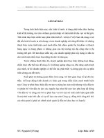 THỰC TRẠNG ĐẦU TƯ PHÁT TRIỂN TẠI CÔNG TY TNHH SẢN XUẤT & THƯƠNG MẠI VẠN HOA