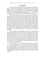 Vấn dụng các chính sách marketing trong kinh doanh  du lịch lữ hành ở  Chi nhánh công ty du lịch và dịch vụ hồng gai tại Hà Nội