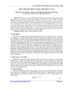 thực hiện hệ thống OFDM trên phần cứng