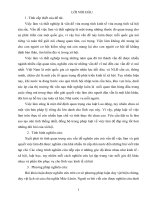 Cơ sở xây dựng và nội dung cơ bản của luật việc làm ở Việt Nam