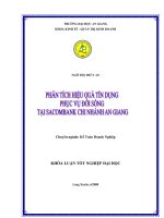 Phân tích hiệu quả tín dụng phục vụ đời sống tại Sacombank chi nhánh An giang