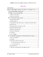 Thực trạng hoạt động sản xuất kinh doanh của Công ty Cổ phần X20