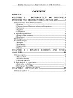 introduction of footwear industry and reebok international ltd