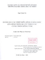 Đánh giá các phép biến  hình á bảo giác  lên cung tròn bị cắt theo các cung tròn đồng tâm 1