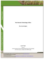 post-harvest technology of rice terminologies