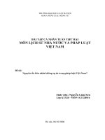 Nguyên tắc hôn nhân không tự do trong pháp luật Việt Nam