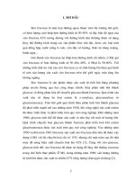 HOÀN THIỆN CÔNG NGHỆ SẢN XUẤT GLUCOZA TINH THỂ BẰNG PHƯƠNG PHÁP ENZIM