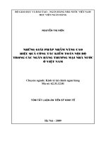 Những giải pháp nhằm nâng cao hiệu quả công tác kiểm toán nội bộ trong các ngân hàng thương mại Nhà Nước ở Việt Nam