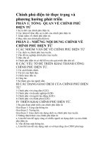 Chính phủ điện tử thực trạng và phương hướng phát triển.