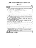 Vai trò kinh tế của nhà nước trong nền kinh tế thị trường định hướng xã hội chủ nghĩa ở nước ta hiện nay.