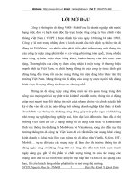 Thực trạng và giải pháp nhằm nâng cao hiệu quả hoạt động quảng cáo ở công ty VMS- MobiFone