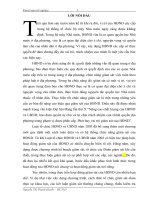 Hoạt động giám sát của Hội đồng nhân dân theo pháp luật hiện hành