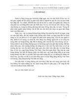 Hoạt động hàng không Việt Nam, tỉm hiểu về cảng hàng không Nội Bài