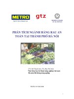phân tích ngành hàng rau an toàn tại thành phố Hà Nội
