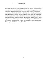 Tình hình thu hút vốn và sử dụng vốn đầu tư trực tiếp của tp. Hồ Chí Minh