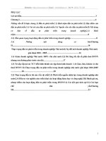 Nội dung cơ bản của hoạt động đầu tư phát triển trong doanh nghiệp và thực trạng đầu tư phát triển trong DNNN hiện nay