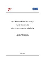 Các liên kết giữa trường đại học và viện nghiên cứu với các doanh nghiệp nhỏ và vừa