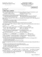 Đề kiểm tra môn hóa khối 11