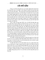 Tổng quan về công ty thương mại dịch vụ Tràng Thi