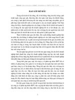 Giải pháp nâng cao hiệu quả sử dụng tài sản lưu động tại công ty xuất nhập khẩu nông sản thực phẩm Hà Nội