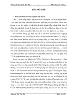 Thực trạng pháp luật Việt Nam về CP trong quá trình thành lập và hoạt động của CTCP