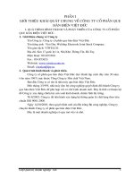 Giới thiệu khái quát về công ty cổ phần que hàn điện Việt Đức