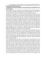 công nhận và cho thi hành tại Việt Nam bản án, quyết định của tòa án nước ngoài.