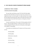 CÁC VẤN ĐỀ CƠ BẢN VỀ NHÓM ĐẤT NÔNG NGHIỆP