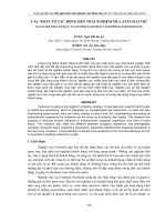 CÁC NHÂN TỐ TÁC ĐỘNG ĐẾN TRẢI NGHIỆM MUA SẮM GIẢI TRÍ