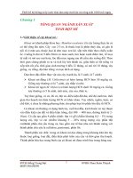 TỔNG QUAN NGÀNH SẢN XUẤT  TINH BỘT MÌ