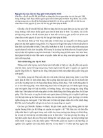 Nguyên lý của việc bỏ hay giữ hình phạt tử hình