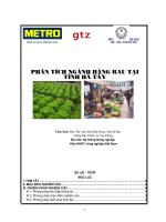 phân tích ngành hàng rau an toàn tại tỉnh Hà Tây