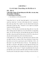 Thực trạng hoạt động xúc tiến đầu tư và công việc chuẩn bị tiền đầu tư tại Việt Nam