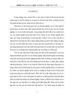 Phân tích tài chính tại Công ty Cao su sao vàng