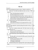 Một số biện pháp đẩy mạnh hoạt động kinh doanh của công ty TNHH Tam Thiếu Gia