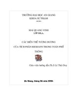 Các biến thể tương đương của tích phân Riemann trong toán phổ thông
