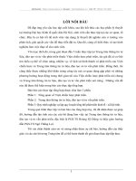 Quy trình nghiệp vụ lập quy hoạch tổng thể phát triển kinh tế - xã hội tỉnh