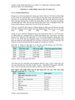 Chiến lược kinh doanh của công ty TNHH MTV gốm sứ Minh Cường tại Singapore