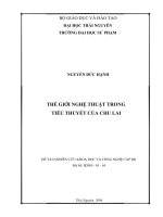 THẾ GIỚI NGHỆ THUẬT TRONG  TIỂU THUYẾT CỦA CHU LAI