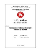 Tiềm năng phát triển của các công ty tài chính tại Việt Nam