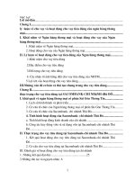 Thực trạng cho vay tiêu dùng tại sacombank chi nhánh thủ đô