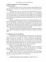 đôi nét về người HMông