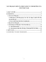 GIÁ TRỊ, HẠN CHẾ CỦA PHẬT GIÁO VÀ ẢNH HƯỞNG CỦA NÓ Ở VIỆT NAM