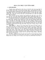 Tổng quan về công ty hóa chât Việt Nam