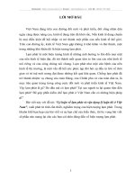 LẠM PHÁT VÀ VẬN DỤNG LÝ LUẬN ĐÓ Ở VIỆT NAM