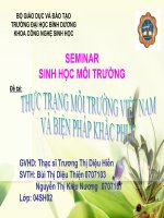 thực trạng môi trường Việt Nam và biện pháp khắc phục