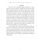 Hoạt động kinh doanh của Công ty Giầy Vĩnh Yên –Vĩnh Phúc