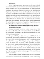 Biện pháp tạm giam trong luật tố tụng hình sự Việt Nam- Một số vấn đề lý luận và thực tiễn