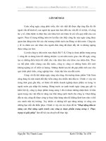 Hoạt động đầu tư nâng cao khả năng cạnh tranh của công ty dược phẩm trung ương 1. Thực  trạng và giải pháp